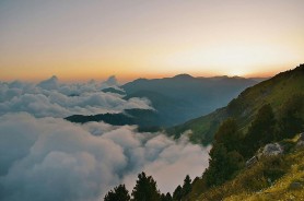 内部人一句话点醒我：糖心在线观看所谓“自然爆”，很多时候是标签组合的误判推出来的（越早知道越好）