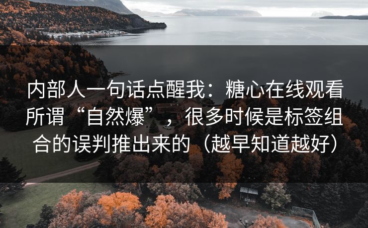内部人一句话点醒我：糖心在线观看所谓“自然爆”，很多时候是标签组合的误判推出来的（越早知道越好）